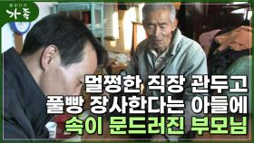 [다큐 ′가족′ 112회⑤] 번듯한 직장 때려치우고 풀빵 장사한다는 아들에 속이 문드러진 부모님