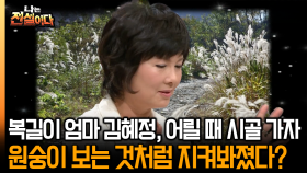 [나는 전설이다] 복길이 엄마 김혜정, 어릴 때 시골 가자 원숭이 보는 것처럼 지켜봐졌다?