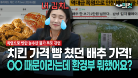 [현장영상] 치킨 가격 뺨 쳤던 배추 가격!... OO 때문이라는데 환경부 뭐했어요?