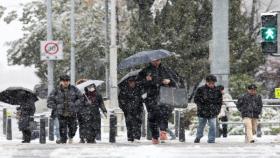 대설 ′경보′ 발효…내일까지 ′첫눈′ 이어질 듯