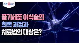 [건강 콜센터] 줄기세포 이식술의 최복 과정과 치료법의 대상은?