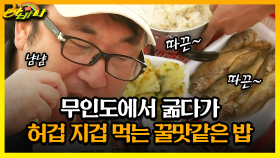 [갱생 버라이어티 하바나] 무인도에서 굶다가 허겁 지겁 먹는 꿀맛같은 밥