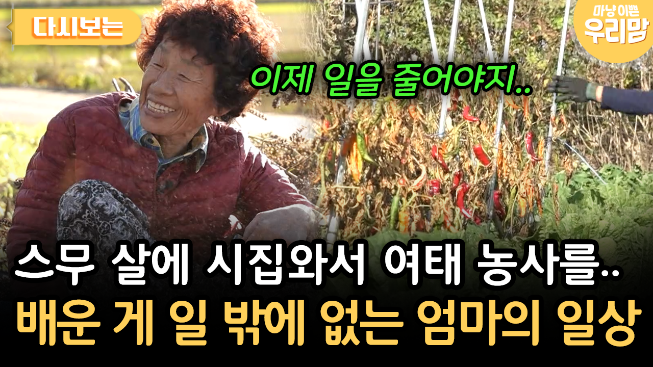 스무 살에 시집와서 여태 농사를.. 배운 게 일 밖에 없는 엄마의 일상 [다시보는 마냥 이쁜 우리맘 77-3] | ZUM TV