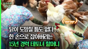 [로드다큐 만남 39회③] 닭이 도망칠 틈도 없다.. 한 손으로 잡아버리는 15년 경력 테토녀 할머니
