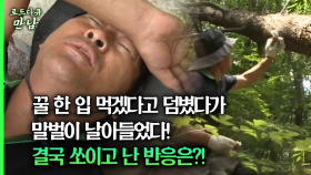 [로드다큐 만남 40회④] 꿀 한 입 먹겠다고 덤볐다가 말벌이 날아들었다! 결국 쏘이고 난 반응은?!