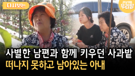 사별한 남편과 함께 키우던 사과밭 떠나지 못하고 남아있는 아내 [다시보는 마냥 이쁜 우리맘 28-1]