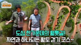 [찾아라 마이홈] 도심 한가운데의 황톳길! 자연과 하나되는 황토 걷기 코스~