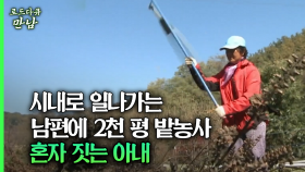 [로드다큐 만남 55회⑥] 시내로 일나가는 남편에 2천 평 밭농사 혼자 짓는 아내