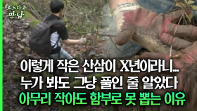 [로드다큐 만남 55회⑤] 이렇게 작은 산삼이 X년이라니... 누가 봐도 그냥 풀인 줄 알았다 아무리 작아도 함부로 못 뽑는 이유
