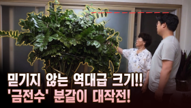 믿기지 않는 역대급 크기! ′금전수′ 분갈이 대작전! [마냥 이쁜 우리맘 10회 ②]