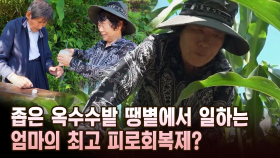 좁은 옥수수밭 땡볕에서 일하는 엄마의 최고 피로회복제? [마냥 이쁜 우리맘 10회 ①]