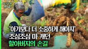 [로드다큐 만남 56회⑥] ＂아기보다 더 소중하게 해야지＂ 조심조심 마를 캐던 할아버지의 손길