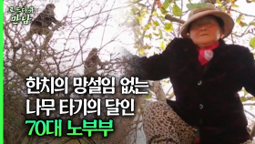 [로드다큐 만남 58회①] 한치의 망설임 없는 나무 타기의 달인 70대 노부부