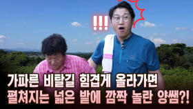 가파른 비탈길 힘겹게 올라가면 펼쳐지는 넓은 밭에 깜짝 놀란 양쌤?! [마냥 이쁜 우리맘 18회 ①]