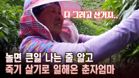 놀면 큰일 나는 줄 알고 죽기 살기로 일해온 춘자엄마 [마냥 이쁜 우리맘 15회 ①]