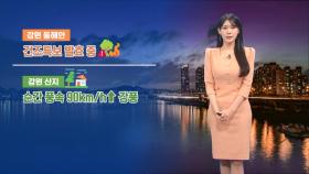[11/29] 중부 강한바람…수도권, 영서 새벽까지 약한 비 (전하린 기상캐스터)