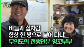 [로드다큐 만남 73회⑥] 바늘과 실처럼 항상 한 쌍으로 붙어 다니는 무의도의 천생연분 잉꼬부부