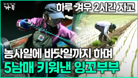 [다큐 ‘가족’ 382회 2부] 하루 겨우 2시간 자고 농사일에 바닷일까지 하며 5남매 키워낸 잉꼬부부