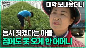 [다큐 ‘가족’ 379회 2부] 대학 보내놨더니 농사 짓겠다는 아들 집에도 못 오게 한 어머니