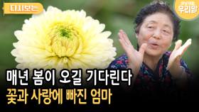 매년 봄이 오길 기다린다 꽃과 사랑에 빠진 엄마 [다시보는 마냥 이쁜 우리맘 39-1]
