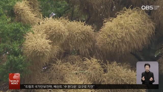 내몽골의 겨울, 펼쳐진 희귀 현상 ′썬 독′