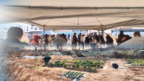 [인섬] 공동체의 정·이야기가 있는 영종 도시농업농장