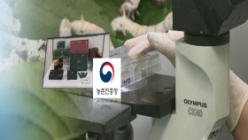 ＂홍잠, 체중 감소 효과 확인…기능성 원료 추진＂