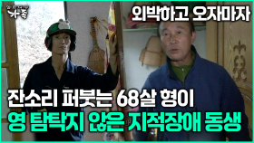 [다큐 ‘가족’ 355회 3부] 외박하고 오자마자 잔소리 퍼붓는 68살 형이 영 탐탁지 않은 지적장애 동생