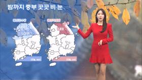 중부지방 밤까지 비·눈…내일 대부분 공기 탁해