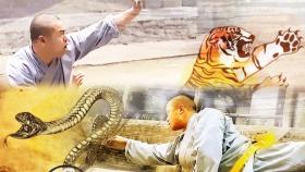 동물의 움직임을 본뜬 ‘소림권법’을 선보이는 소림 후예들!