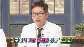 [알고 먹으면 재밌다] 귀한 음식, 고사리 이야기 (브라보!H라이프)