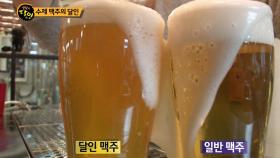 달인 맥주 VS 일반 맥주, 차원이 다른 맛의 수제 맥주 달인