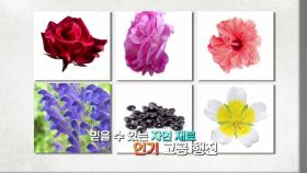 건조한 겨울, 천연 화장품으로 고민 해결!