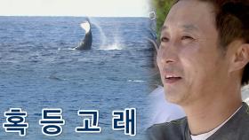 [선공개] 병만족에게 잊지 못할 진귀한 선물을 준 ‘혹등고래’