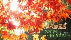 도심 속 낭만 가득한 힐링 낙원 ‘서울숲’