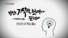 [11월 4일 예고] 당신도 기억력 천재가 될 수 있다 - 기억력의 비밀