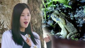 [선공개] 두꺼비 공포증 극복한 에이핑크 초롱?