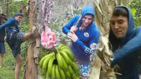 줄리엔 강, 상남자가 바나나 따는 법 ‘킥＋펀치’