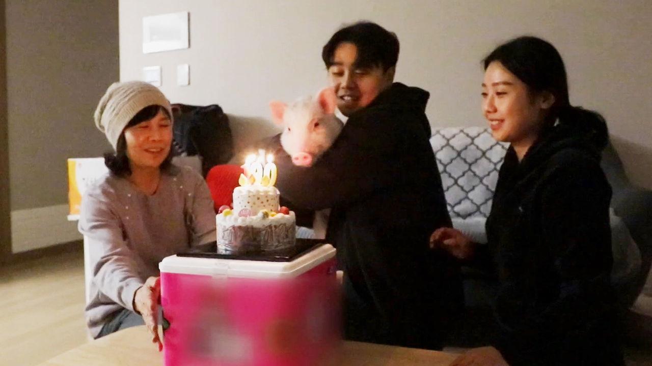 가족을 뭉치게 하는 힐링 돼지 ‘꿀떡이의 100일 파티’ | ZUM TV