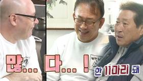 민통선 사위들, 강아지 11마리 목욕 미션에 ‘당황’