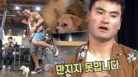 “강아지 못 만져요…” 박찬호, 의외의 약한 모습 ‘털 알레르기 탓’