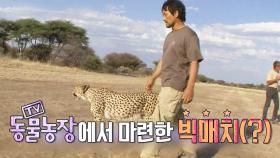 ‘오지형’ 박세준 치타와의 달리기 한판승부! 그 결과는?