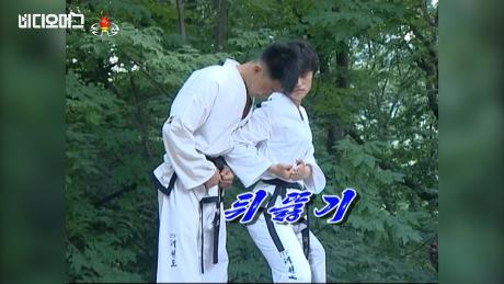 권의 극에 달한 북한의 태권도 시범...이것은 마치?!