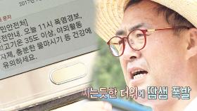 만년 일꾼 이만기, 폭염주의보 속 밭갈이