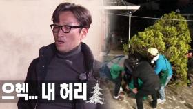 ‘평균 50세’ 남자 멤버들, 대형 트리 운반에 ‘탈진’