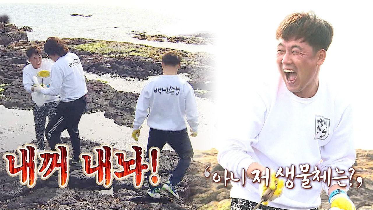 마라도 박서방, 유치찬란 군벗 쟁탈전! | ZUM TV