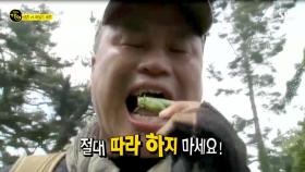 살아 있는 여치도 '꿀꺽' 생존 전문가의 비상식량?!