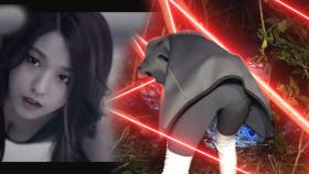 설현 ‘사뿐사뿐 뮤직비디오’ 포즈 재연하며 섹시하게 정글 숲 통과!