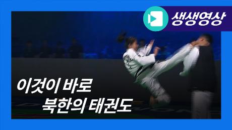 이것이 바로 북한의 태권도!...북한 태권도 선수들의 화려한 시범