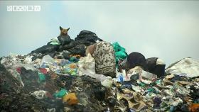 비닐봉지 쓰면 강력 처벌…케냐에선 